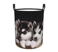 Panier à linge circulaire étanche avec imprimé chien Husky - Panier de rangement portable pour vêtements sales - Panier de rangement pour la maison, le salon, la salle de bain, la voiture
