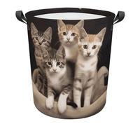 Panier À Linge Rond 60L, Chatons Chats De Famille Panier De Rangement Linge Sale Pliable Avec Anse Bac De Rangement, Pour Dortoir, Couvertures, Chambre À Coucher