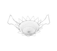 Panier à salade idéale inox IPAC