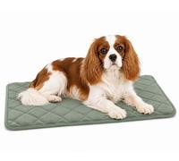 Panier Chien - Coussin Chien et Chat orthopédique Weimar Vert - Coussin Premium idéal pour Cages métalliques - 55,5x38,5x2cm