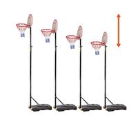 Panier de basket avec support Action 305