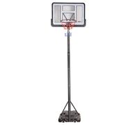 Panier de basketball NILS ZDK021A Gris TU