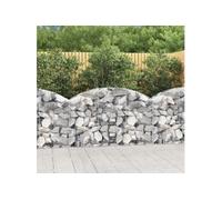 vidaXL Panier de gabions arqué 150x30x80/100 cm Fer galvanisé