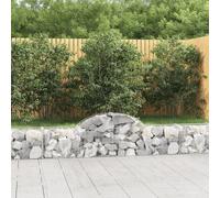 Panier de Gabions Arqué 200x30x40/60 cm Fer Galvanisé Cage Jardin vidaXL