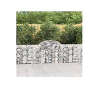 Panier de gabions arqué 200x30x80 100 cm Fer galvanisé