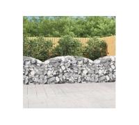 Panier de gabions arqué 200x50x80 100 cm Fer galvanisé