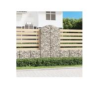 vidaXL Panier de gabions arqué – Cage à gabion pour jardin, fer galvanisé 100×50×180/200 cm