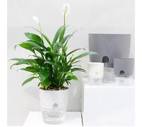 Panier De Jardinière Mural En Plastique À 2 Couches, Pot De Fleur À Arrosage Automatique, Conteneur D'eau, Support De Jardinière De Fleurs En Plastique