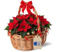 Panier de Pâques en Osier - Creative Home - 30 x 27 x 24 cm - Artisanal - Naturel - Marron