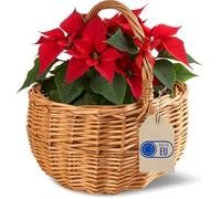 Creative Home Petit Panier de Pâques en Osier | 22 x 22 x 26 cm (+/- 2 cm) | Panier avec anse | Tissé à la main | Panier cadeau | Panier fruits | Marron naturel