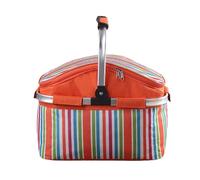 Panier de pique-nique isotherme - Panier isotherme portable de 30 L, Glacière pliable pour pique-nique | Sac pliable pour l'extérieur, sacs de courses de camping, aliments, fruits pour camping
