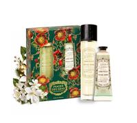 Panier des Sens Coffret Cadeau Femme Jasmin Eau de Toilette & Crème Mains | Édition de Noël prête à offrir, 50ml + 30ml, parfum de Grasse, formules vegan fabriquées en France