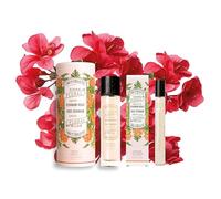 Panier des Sens - Pack Roll-on + Eau de Toilette pour Femme - Rose Géranium - Parfum Femme Corps & Cheveux - Fragrance Florale - Eau de parfum aux Absolues de Parfum Made in France - 50ml + 10ml