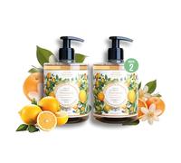 Panier des Sens - Savon de Marseille Liquide - Agrumes de Provence - Savon Liquide Mains Hydratant - 97% d'Ingrédients Naturels - Nettoyant Main Fabriqué en France - 2x500ml
