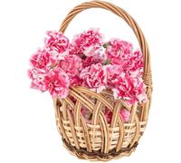 Panier en Osier Tressé pour Enfant - Creative Home - 16 x 16 x 23 cm - Marron - Campagne