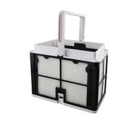 Panier filtrant ultra fin 9991460-R1, pour nettoyeur de piscine Dolphin Robotic avec cadre ABS, avec papier plissé, pour Active E10, pour Cayman Proteus, pour Prowler S100, pour