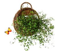 Panier mural - Porte-fleurs en rotin tissé à la main, récipient en saule suspendu vertical, récipient à herbes en brindilles suspendu, vase montable en osier tressé | Présentoir floral pour fleuristes