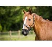 Panier Muselière Cheval G