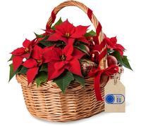 Creative Home Panier de Pâques en Osier 35 x 30 x 35 cm - Tissé à la Main,