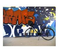 Panier Trendy One - HAPO-G - Fixation avant MTS3 - Noir - Plastique - Vélo loisir