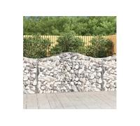 Paniers à gabions arqués 11 pcs 200x50x100/120 cm fer galvanisé, gabion, cage de gabion, panier de mur de gabion, mur 3145649