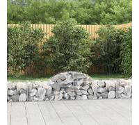 Vidaxl Paniers À Gabions Arqués 15 Pcs 200x50x40/60 Cm Fer Galvanisé