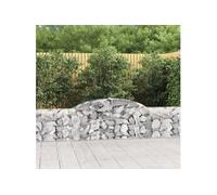 vidaXL Paniers à gabions arqués 2 pcs 300x30x60/80 cm fer galvanisé