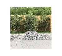 Vidaxl Paniers À Gabions Arqués 4 Pcs 200x30x40/60 Cm Fer Galvanisé