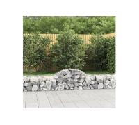 Paniers à gabions arqués 2 pcs 200x50x40/60 cm fer galvanisé gabion vidaXL