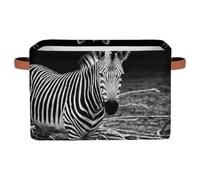 Paniers de rangement pour étagères, zèbre d'Afrique, animaux de safari, bacs de rangement en tissu avec poignées, boîtes de rangement pour organiser vêtements, jouets, livres