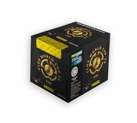 Panini Clubs World Cup 2025 Stickers Boîte de 36 Pochettes