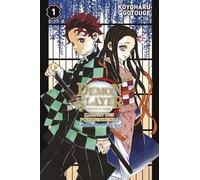 PANINI Demon slayer - carnets des pourfendeurs (fanbook) tome 1