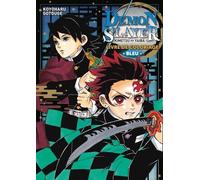 PANINI Demon slayer - livre de coloriage tome 2
