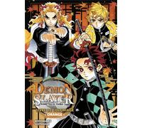 PANINI Demon slayer - livre de coloriage tome 3