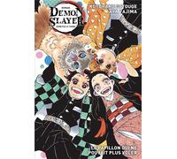 PANINI Demon slayer (roman) tome 2