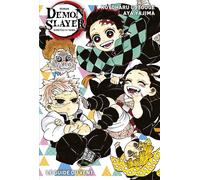 PANINI Demon slayer (roman) tome 3