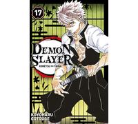 PANINI Demon slayer tome 17