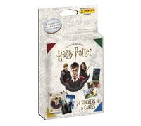 Panini Hp 6poch
