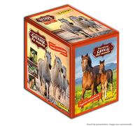 Panini Les Plus Beaux Chevaux du Monde Boite de 36 Pochettes