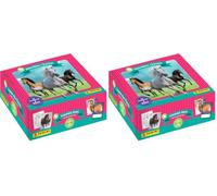 PANINI Merveilleux Chevaux Trading Cards Boîte de 24 Pochettes (Lot de 2)