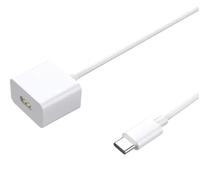 Panlouting Rechange Câble de Charge Magnétique Chargeur USB-C 100cm compatible avec Brosses à Dents Électriques Laifen LFTB01-P, LFTB01-S et LFTB01-A