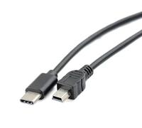 Panlouting USB-C Câble OTG 30cm pour Transfert de Données compatible avec Canon EOS Rebel T5i, T6, T6i, T7, 350D, 400D, 450D, 40D, 5D, 5D Mark II, 7D, Nikon DSLR D610, D90 | Pour iPhone MacBook