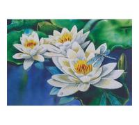 PANNA Embroidery Kit de Point Plat, Multicolore, 19,5x14cm