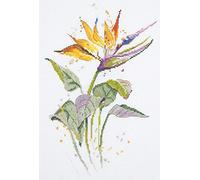 Panna Kit de broderie au point de croix : oiseau de paradis