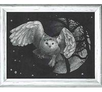 PANNA - Kit de Point de Croix Compté - Hibou Blanc - J-0359 - Canevas kit complet - tissu Aida Noir - 27 x 36 cm - Kit de bricolage