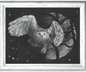 PANNA - Kit de Point de Croix Compté - Hibou Blanc - J-0359 - Canevas kit complet - tissu Aida Noir - 27 x 36 cm - Kit de bricolage