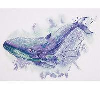 PANNA - Kit de Point de Croix Compté - La Constellation de la Baleine - MT-1961 - Canevas kit complet - tissu Aida - 23 x 31 cm - Kit de bricolage