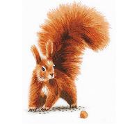 PANNA - Kit de Point de Satin - Écureuil avec une Noix - JK-2176 - Canevas kit complet - tissu avec un motif imprimé - 15.5 x 11.5 cm - Kit de bricolage