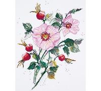 PANNA Wild Roses-C-1888, Rose, 20 x 30 cm