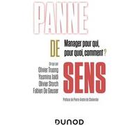 Panne de sens: Manager pour qui, pour quoi, comment ?